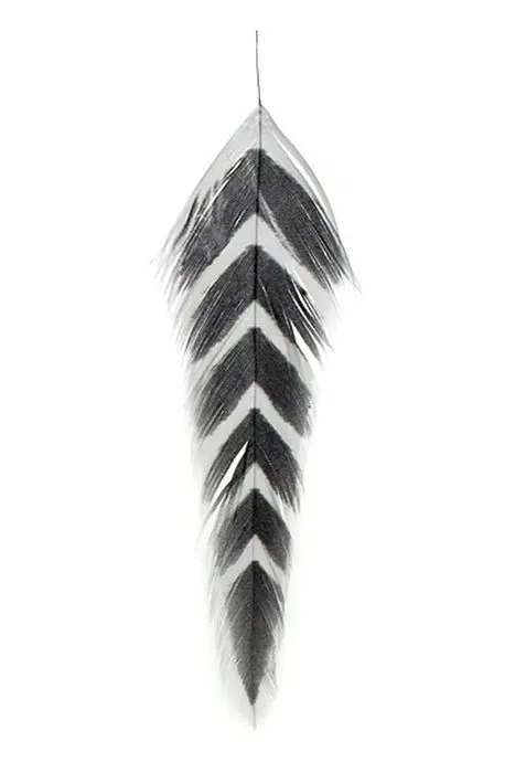 Arrowhead-Style Fish Feathers by Galloup for Imitative Flies