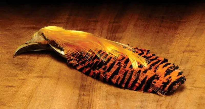 Complete Golden Pheasant Head Skins – Natural Fly-Tying Material