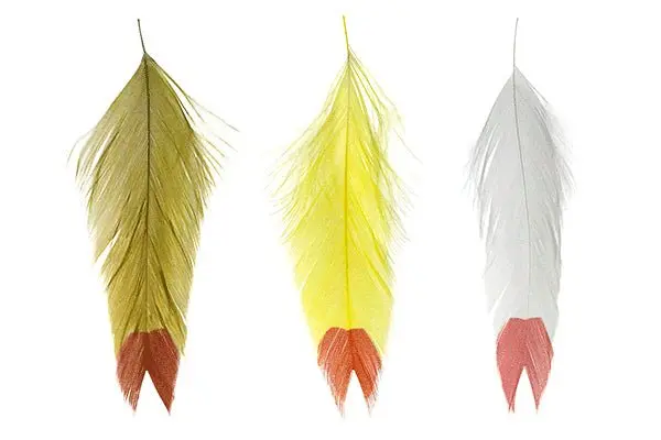 Fin Tip Fish Feathers – Galloup’s Natural Fly-Tying Material