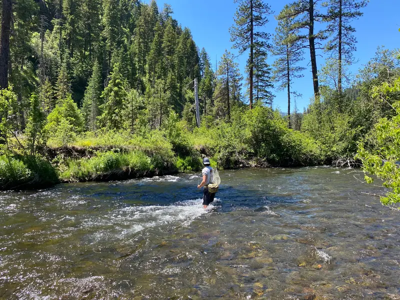 Fly East Guiding – Custom Fly Fishing Adventures