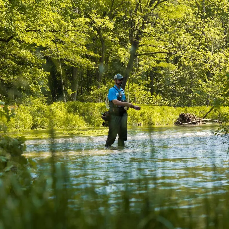 Fly Fishing 101 – Beginner’s Guide to Casting, Knots & Techniques