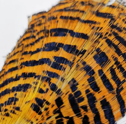 Golden Pheasant Tippet Section Material