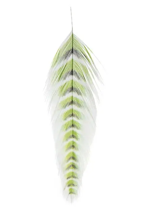 Grizzled Fish Feathers by Galloup for Streamer Flies