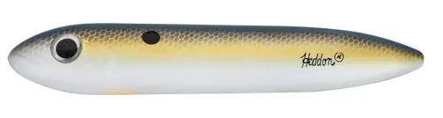Heddon Premium Super Spook Jr 1/2 oz Topwater Lure – Foxy Shad