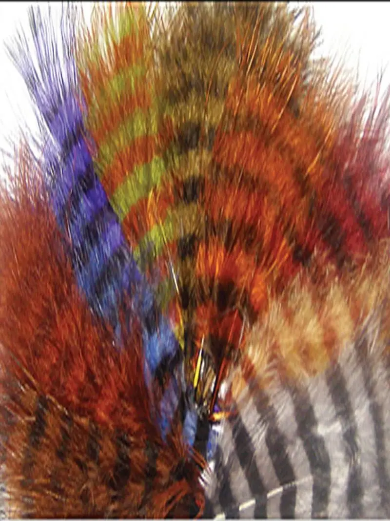 MFC Barred Marabou Feather Selection