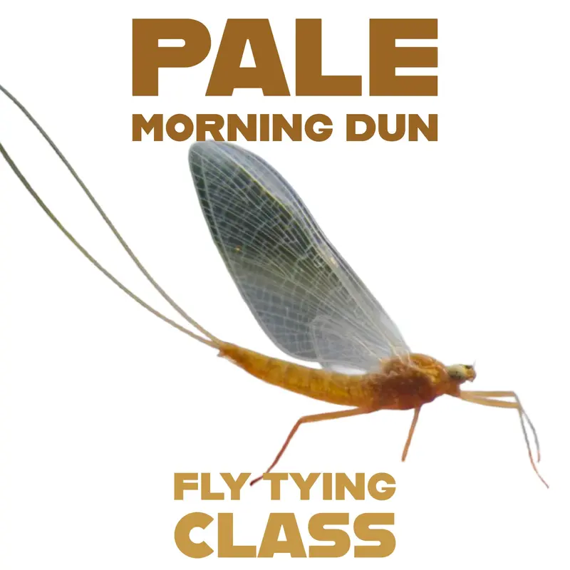 Pale Morning Dun (PMD) Fly Tying Workshop Class