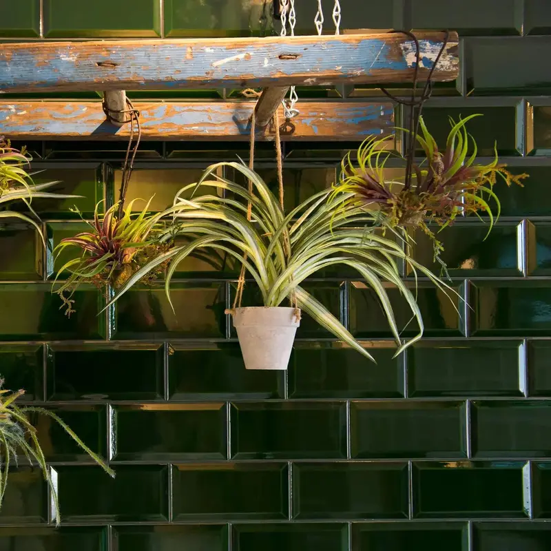 Royal Green Metro Tile – 100x200mm Vintage-Inspired Wall Tile