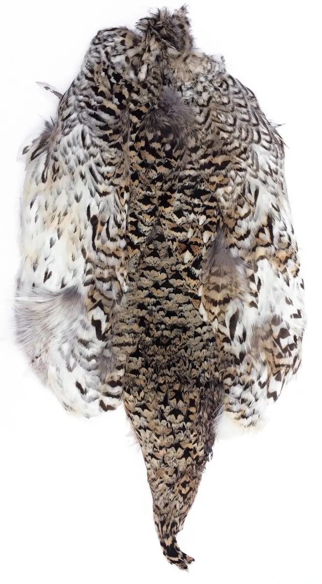 Sharptail Grouse Skin – Fly Tying Feather Supply