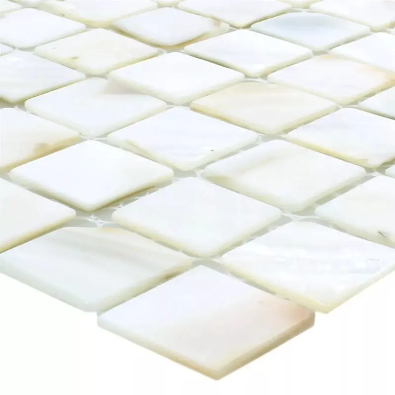 Shell Kordon White Mosaic Tile – 305×305 mm Organic Texture