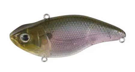 Spro Aruku Shad – 75 mm Spooky Shad Soft Bait