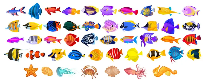 Tropical Fish Collection Magnet Set