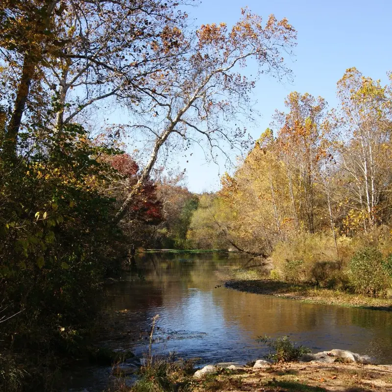 Westover Farms Fly Fishing Intro Course – Guided Workshop